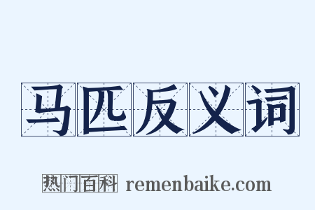 马匹反义词是什么意思的图片